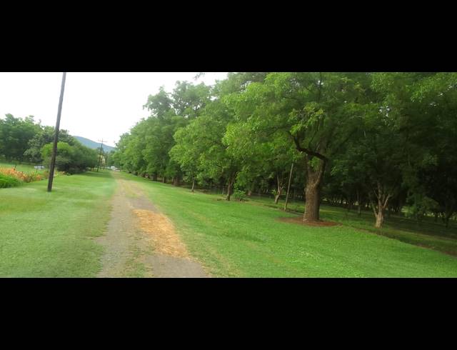 8HA FARM FOR SALE IN WEENEN